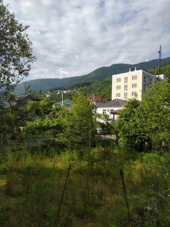 Na Shapsug Guest House กากรา ภายนอก รูปภาพ