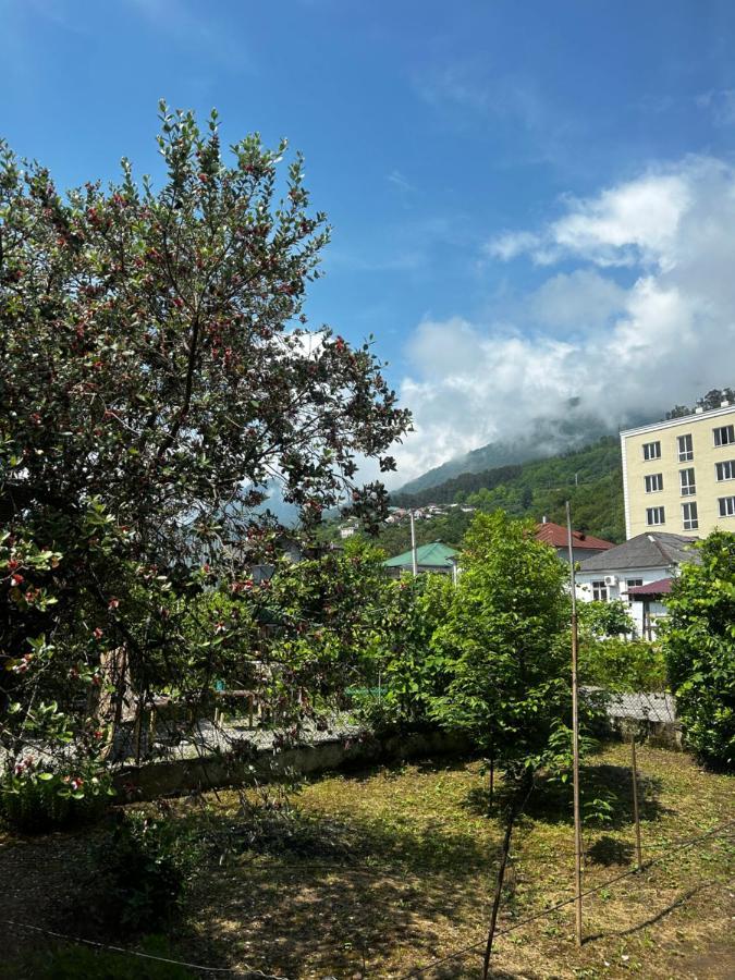 Na Shapsug Guest House กากรา ภายนอก รูปภาพ